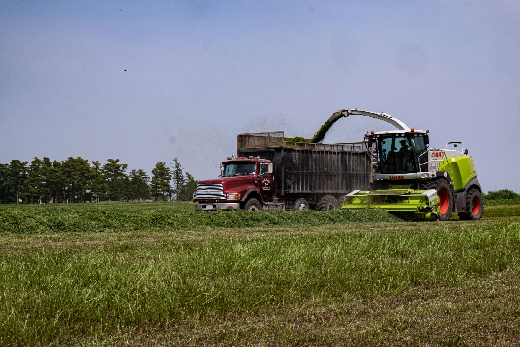 Gar-Lin feed harvest